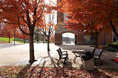 Benches on campus in the fall. Link to Gifts by Estate Note
